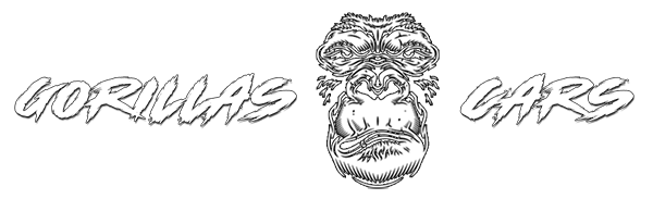 T.animaxs – Estudio creativo audiovisual